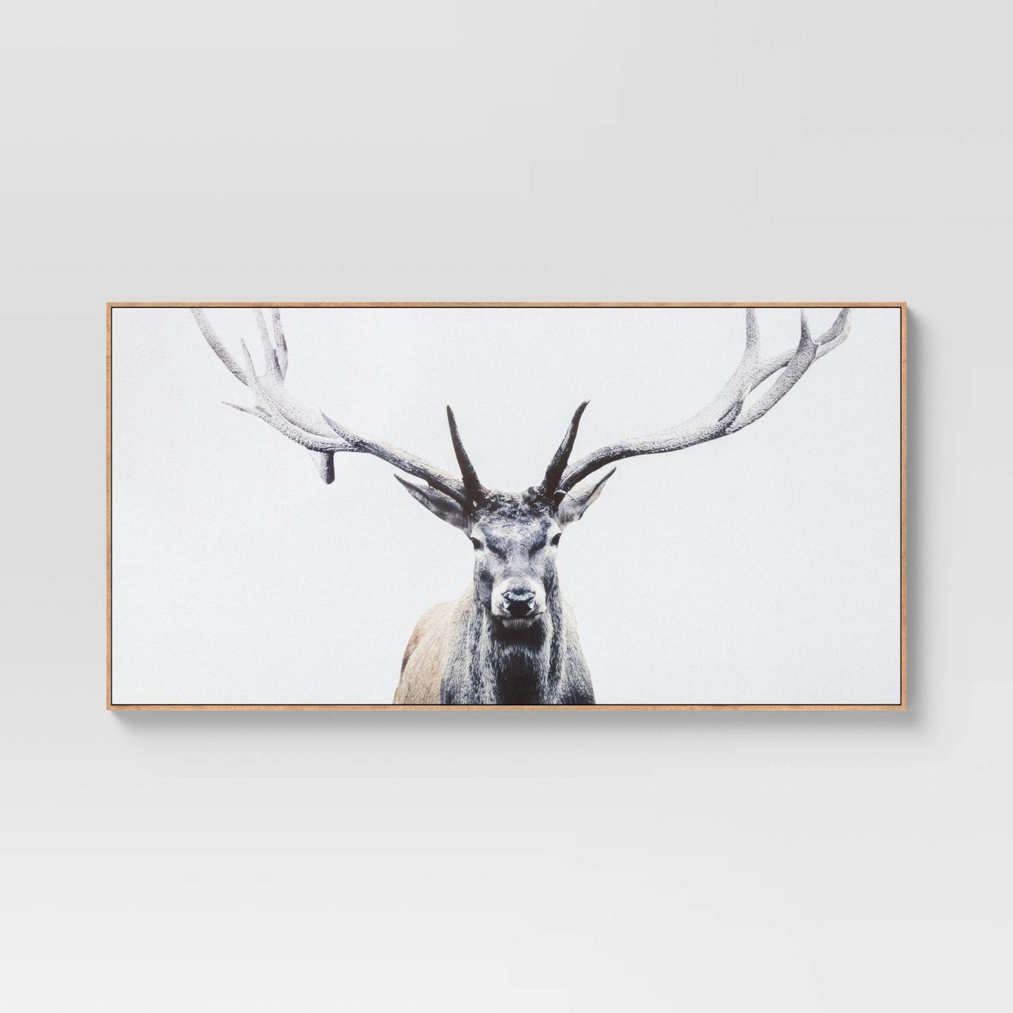 47 X 24 Deer Framed Wall Canvas