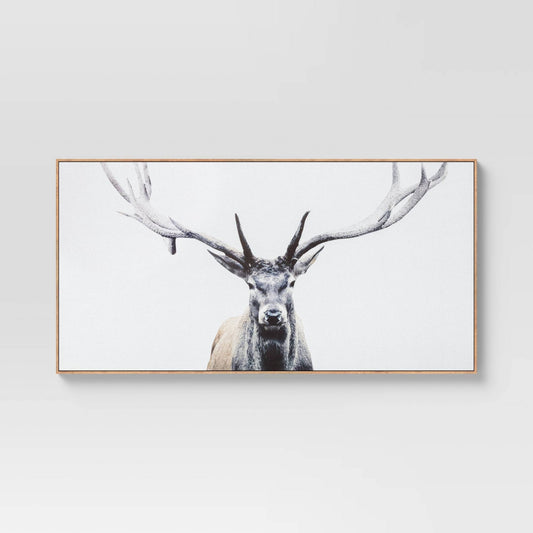 47 X 24 Deer Framed Wall Canvas