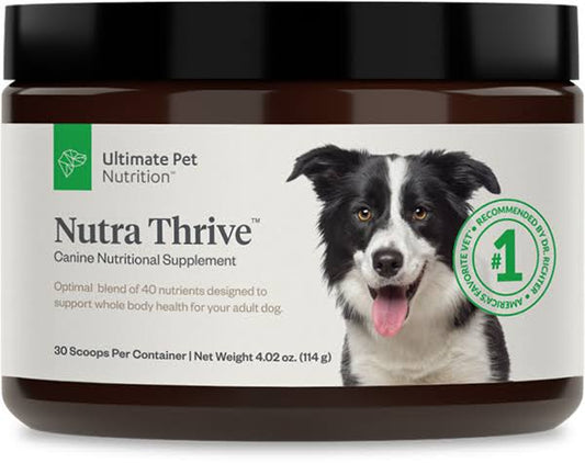 Thrive For Dogs | Dog Nutritional Supplement & Vitamin Powder | 1 Jar | By